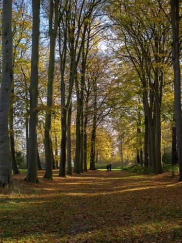 Tiem Meijering - Clubuitje Heiloerbos - 2